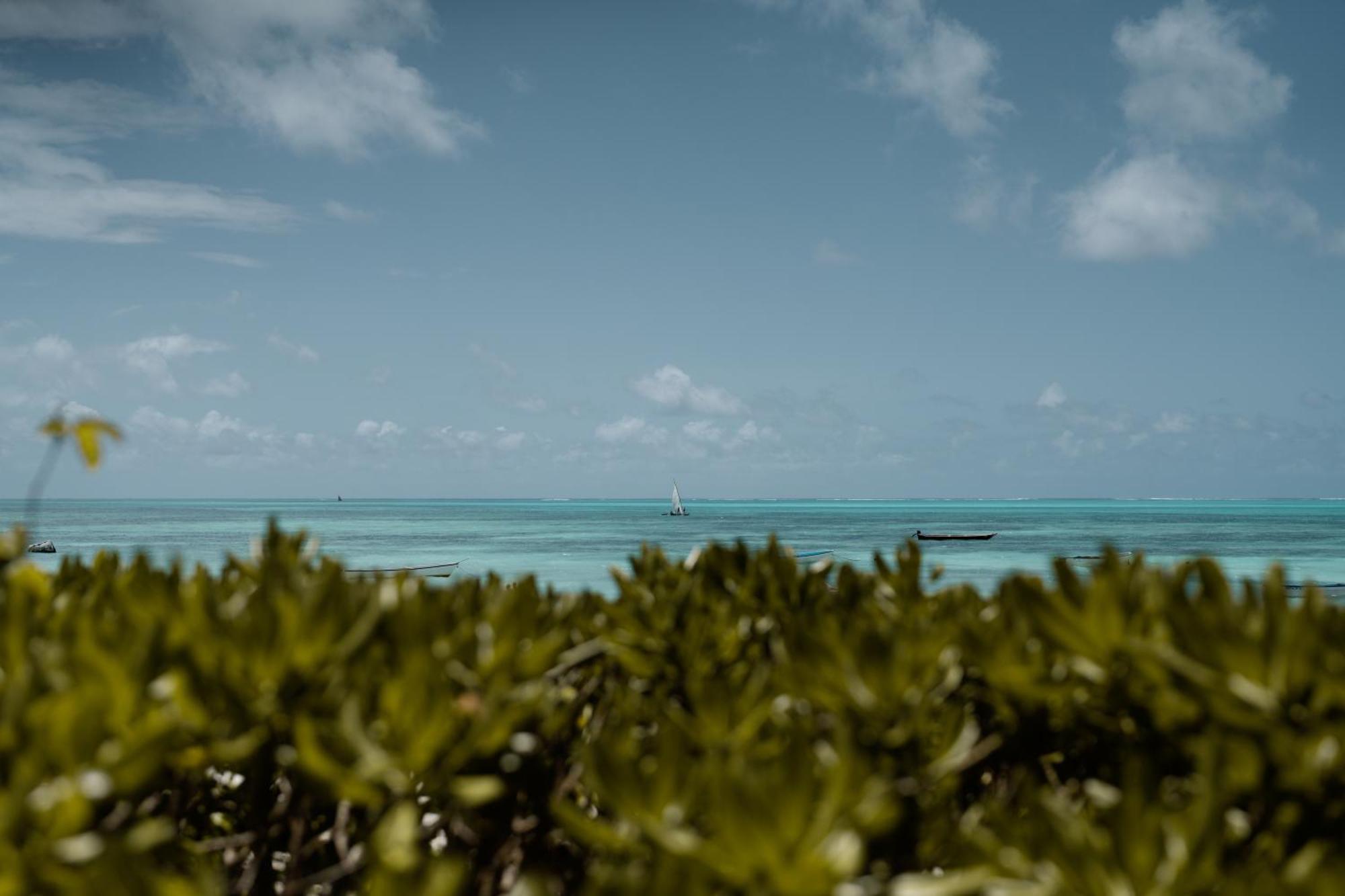The Loop Beach Resort (Adults Only) Jambiani  Exterior foto